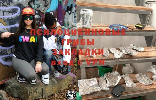ПСИЛОЦИБИНОВЫЕ ГРИБЫ Белоозёрский