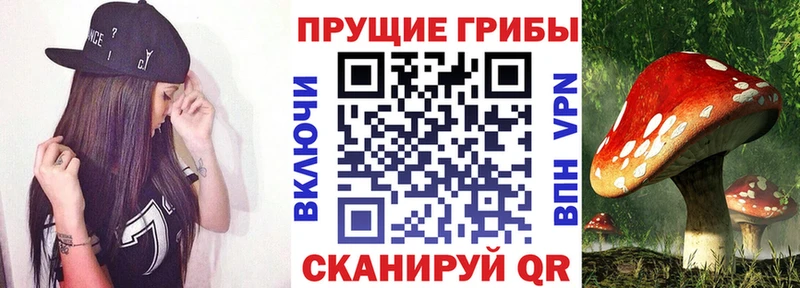 Псилоцибиновые грибы GOLDEN TEACHER  где продают   Борисоглебск 